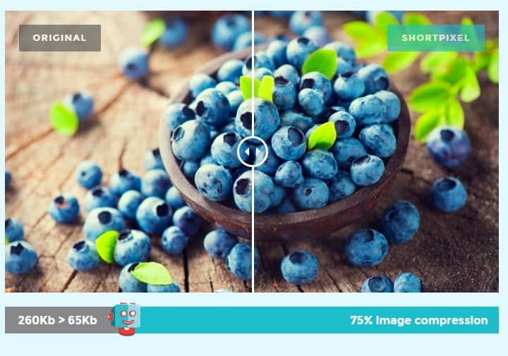 Using Shortpixel to Automatically Compress Images